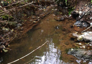 El agua mágica de Cerro Alegre