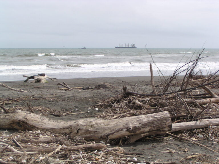 Un tsunami golpeó la costa sanantonina en 1647